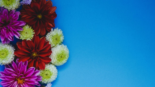 士强势宣告 士强势宣告